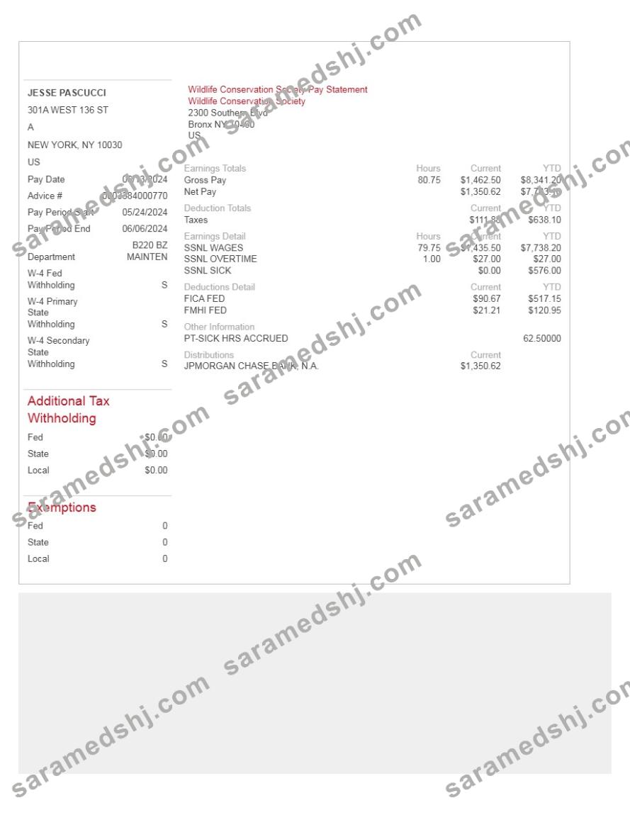 Wildlife Conservation Society pay statement template in Word and PDF formats.pdf, 1